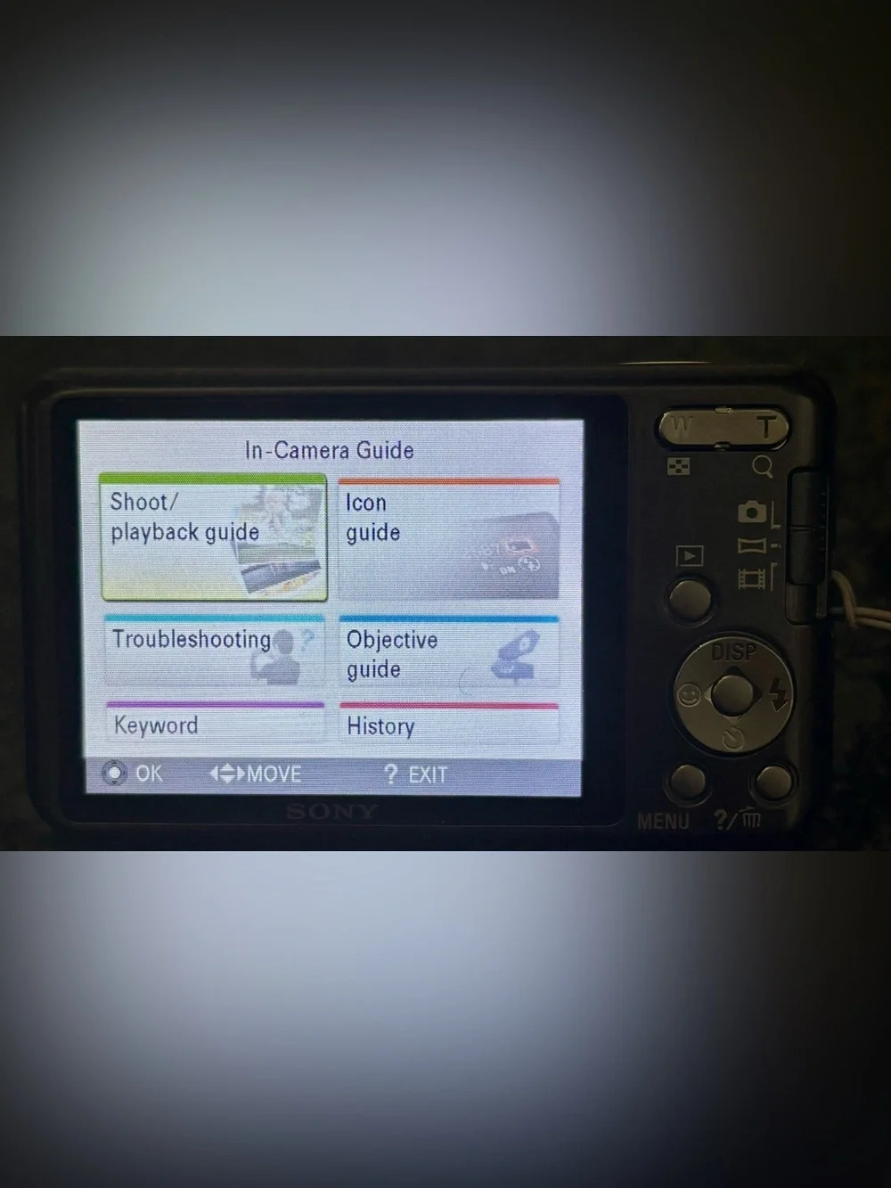 Sony Cyber-shot DSC-W570 Compact Camera 16.1MP 5x Optical Zoom Silver